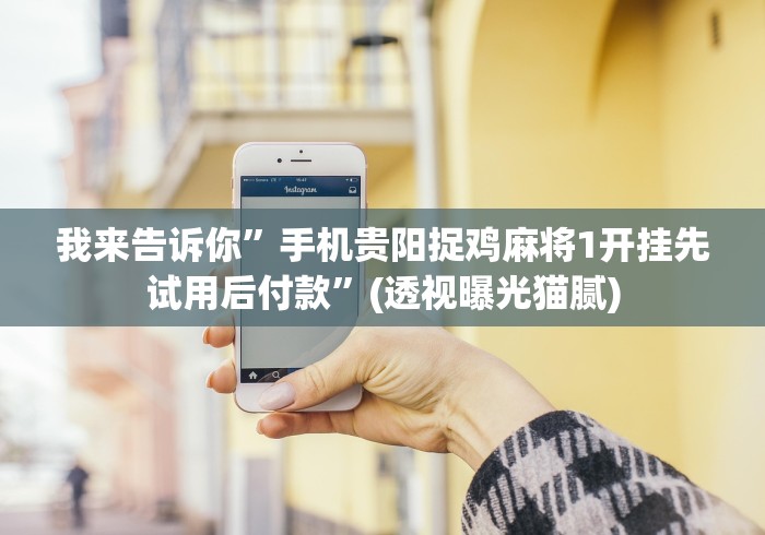 我来告诉你”手机贵阳捉鸡麻将1开挂先试用后付款”(透视曝光猫腻) 我来告诉你”手机贵阳捉鸡麻将1开挂先试用后付款”(透视曝光猫腻)