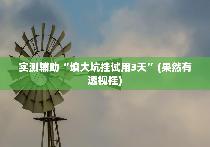 实测辅助“填大坑挂试用3天”(果然有透视挂) 实测辅助“填大坑挂试用3天”(果然有透视挂)