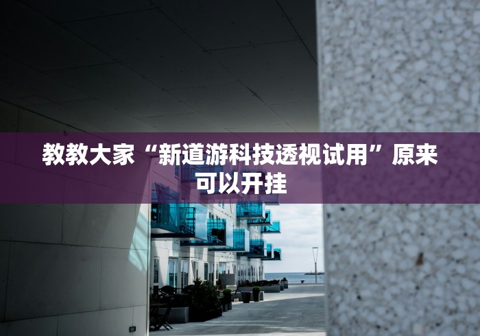 教教大家“新道游科技透视试用”原来可以开挂 教教大家“新道游科技透视试用”原来可以开挂