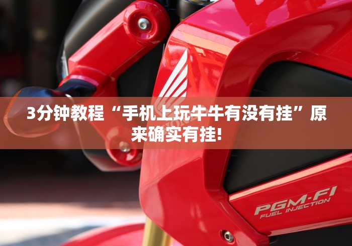 3分钟教程“手机上玩牛牛有没有挂”原来确实有挂!