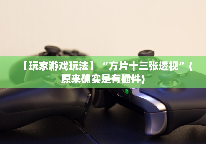 【玩家游戏玩法】“方片十三张透视”(原来确实是有插件)