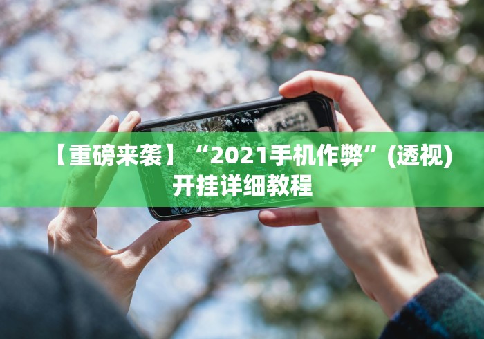 【重磅来袭】“2021手机作弊”(透视)开挂详细教程