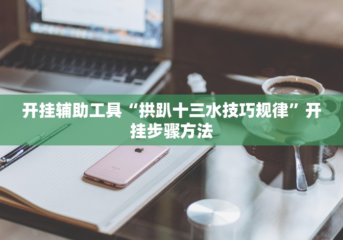 开挂辅助工具“拱趴十三水技巧规律”开挂步骤方法