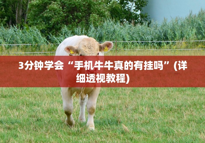 3分钟学会“手机牛牛真的有挂吗”(详细透视教程)