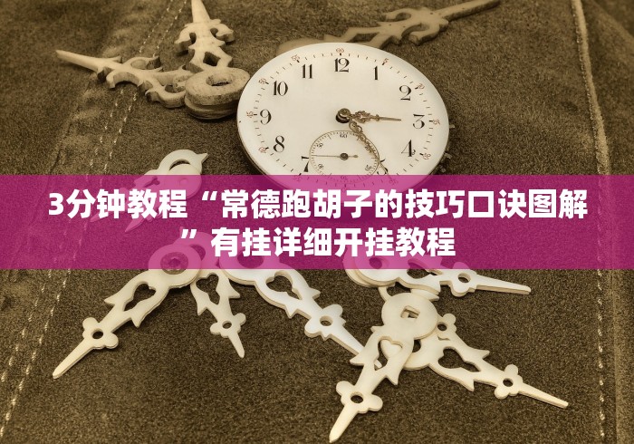 3分钟教程“常德跑胡子的技巧口诀图解”有挂详细开挂教程