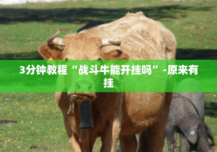 3分钟教程“战斗牛能开挂吗”-原来有挂