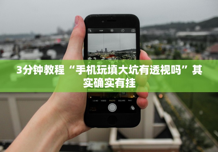 3分钟教程“手机玩填大坑有透视吗”其实确实有挂