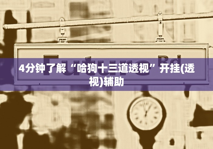 4分钟了解“哈狗十三道透视”开挂(透视)辅助