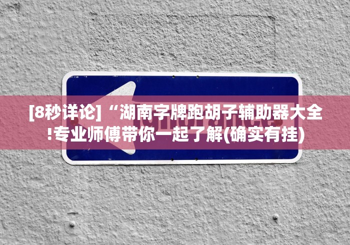 [分享]“手机上玩十三道如何才能赢”揭秘透视辅助万能挂
