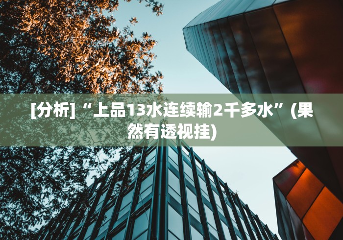 [分析]“上品13水连续输2千多水”(果然有透视挂)