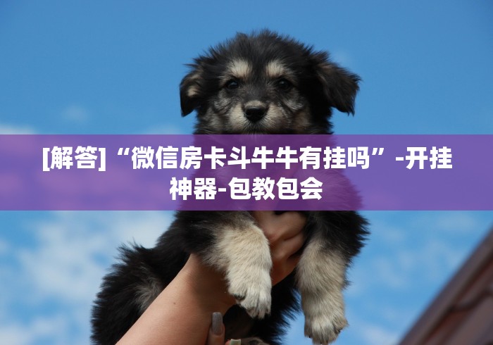 【一招分享】“上品十三水怎么开挂”详细外挂安装步骤