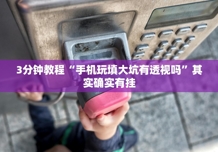 3分钟教程“手机玩填大坑有透视吗”其实确实有挂