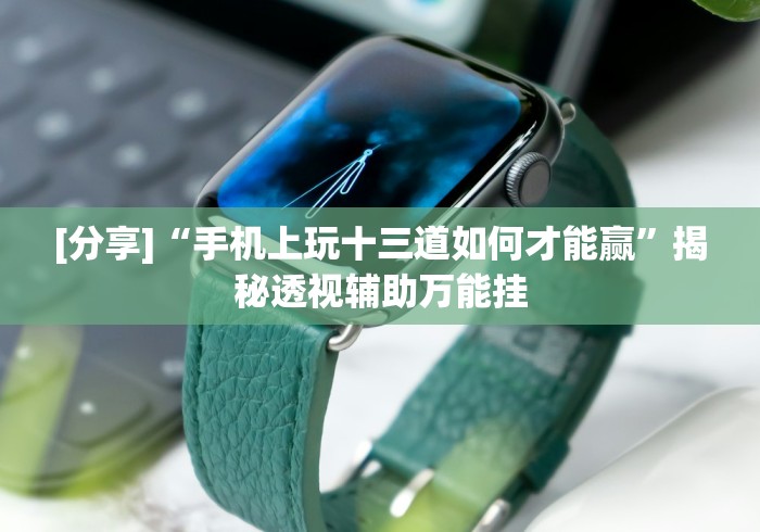 [分享]“手机上玩十三道如何才能赢”揭秘透视辅助万能挂