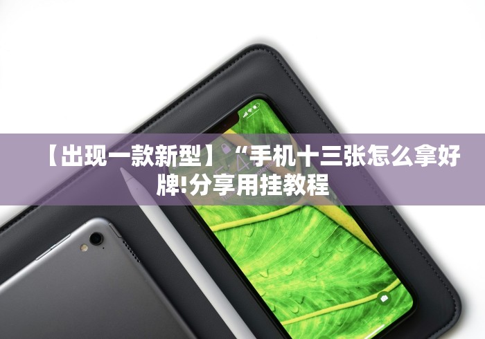 【出现一款新型】“手机十三张怎么拿好牌!分享用挂教程