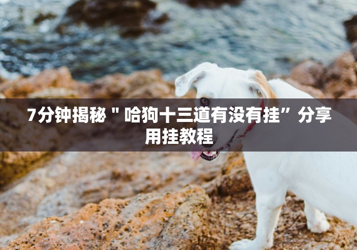 7分钟揭秘＂哈狗十三道有没有挂”分享用挂教程