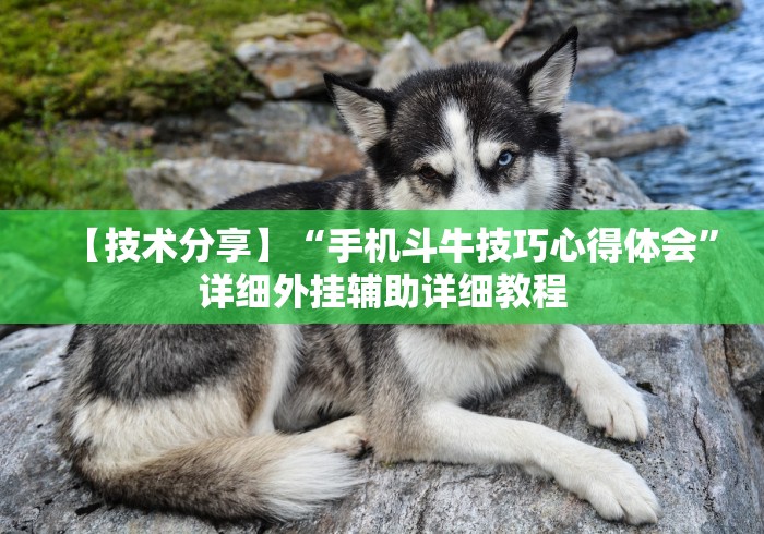 【技术分享】“手机斗牛技巧心得体会”详细外挂辅助详细教程 【技术分享】“手机斗牛技巧心得体会”详细外挂辅助详细教程