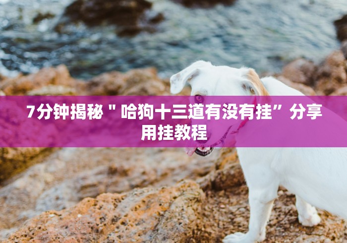 7分钟揭秘＂哈狗十三道有没有挂”分享用挂教程