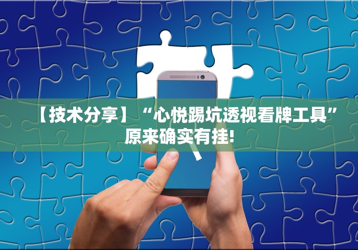 【技术分享】“心悦踢坑透视看牌工具”原来确实有挂!