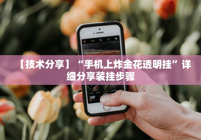 【技术分享】“手机上炸金花透明挂”详细分享装挂步骤