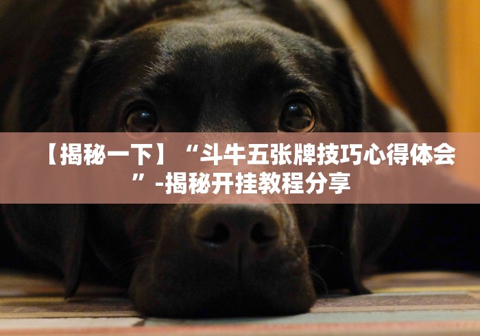 【揭秘一下】“斗牛五张牌技巧心得体会”-揭秘开挂教程分享 【揭秘一下】“斗牛五张牌技巧心得体会”-揭秘开挂教程分享