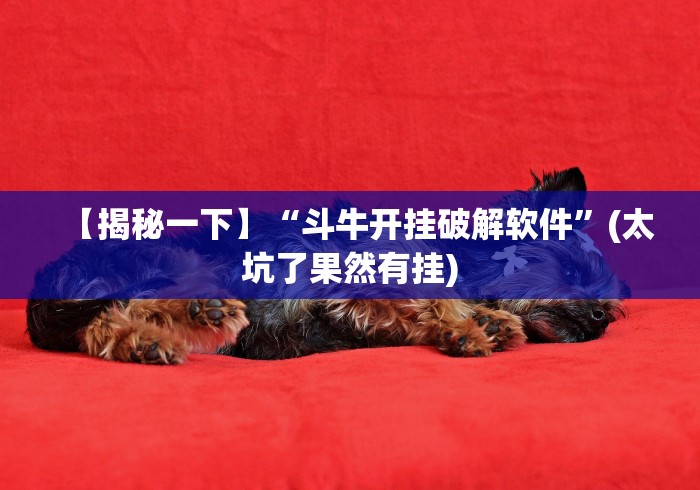 【揭秘一下】“斗牛开挂破解软件”(太坑了果然有挂) 【揭秘一下】“斗牛开挂破解软件”(太坑了果然有挂)