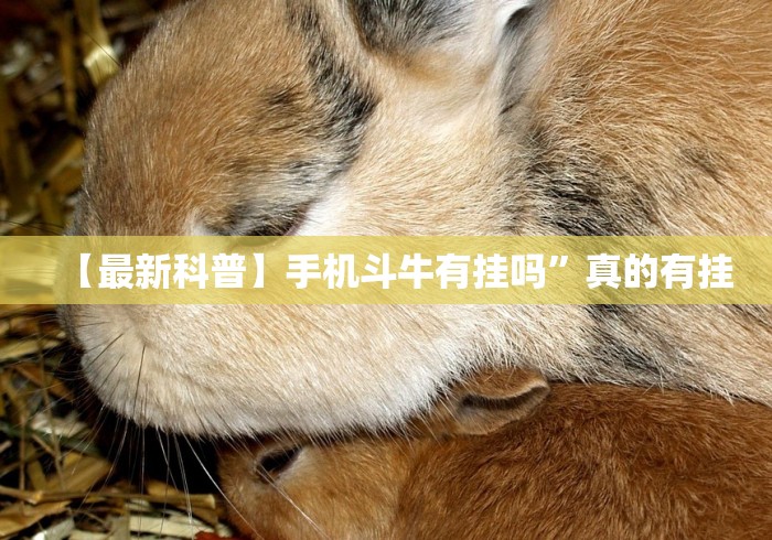 【最新科普】手机斗牛有挂吗”真的有挂