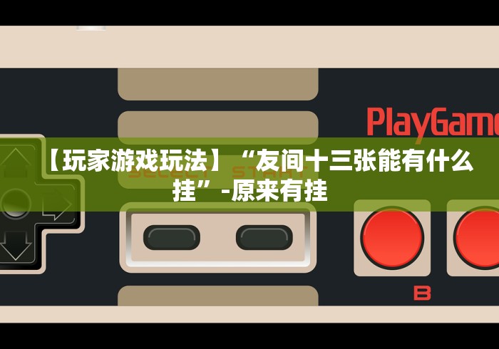 【玩家游戏玩法】“友间十三张能有什么挂”-原来有挂