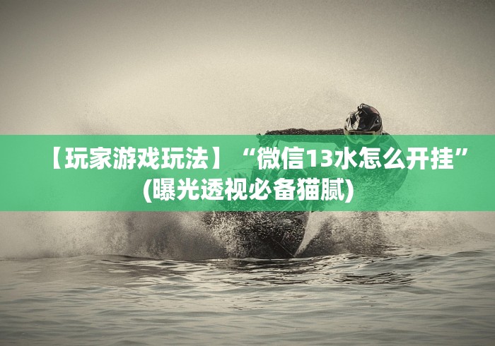 【玩家游戏玩法】“微信13水怎么开挂”(曝光透视必备猫腻)