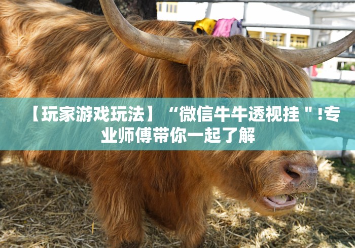 【玩家游戏玩法】“微信牛牛透视挂"!专业师傅带你一起了解 【玩家游戏玩法】“微信牛牛透视挂"!专业师傅带你一起了解