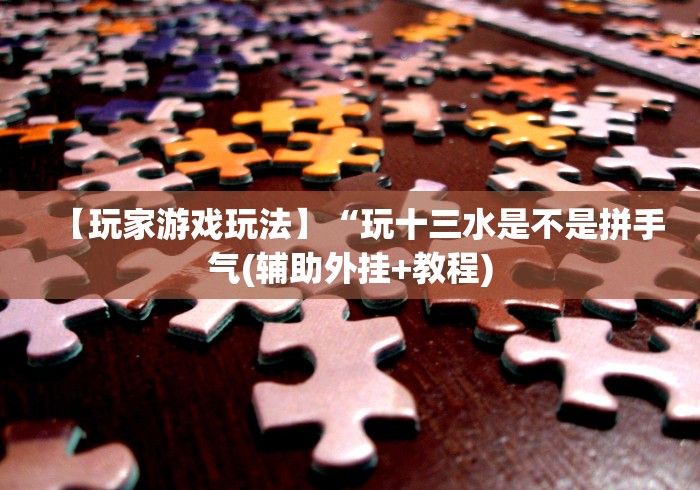 【玩家游戏玩法】“玩十三水是不是拼手气(辅助外挂+教程)