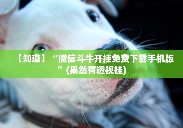 【知道】“微信斗牛开挂免费下载手机版”(果然有透视挂)