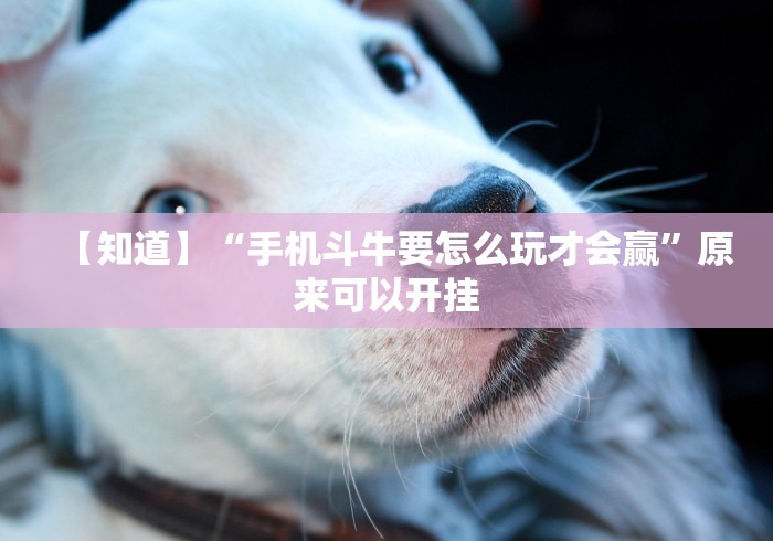 【知道】“新众亿作弊视频”原来确实有挂! 【知道】“新众亿作弊视频”原来确实有挂!