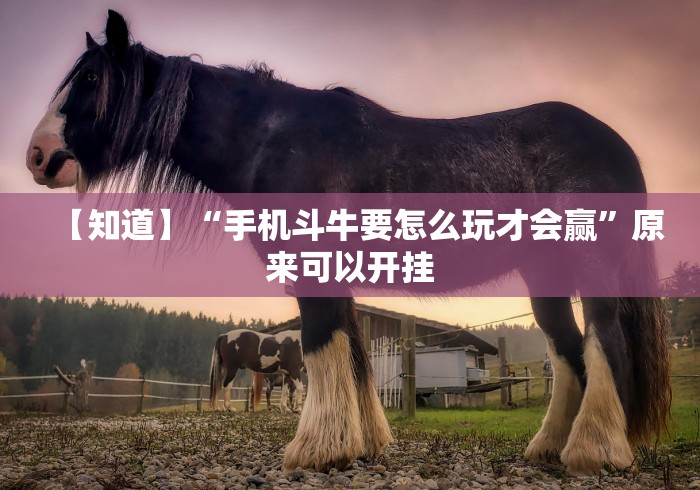 【知道】“手机斗牛要怎么玩才会赢”原来可以开挂