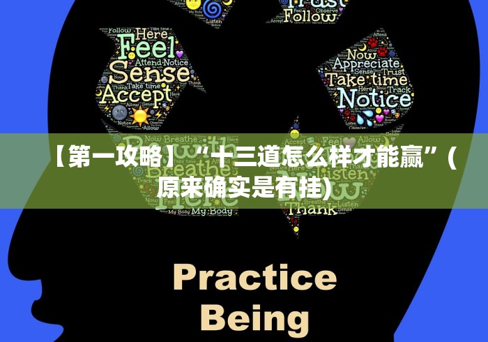 【第一攻略】“十三道怎么样才能赢”(原来确实是有挂)