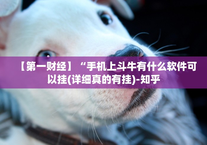 【第一财经】“手机上斗牛有什么软件可以挂(详细真的有挂)-知乎 【第一财经】“手机上斗牛有什么软件可以挂(详细真的有挂)-知乎