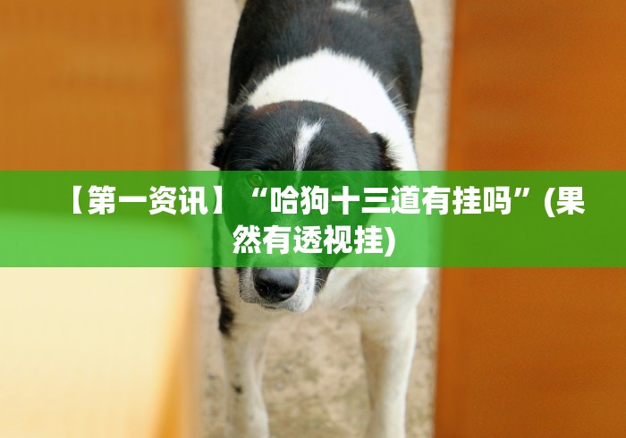 【第一资讯】“哈狗十三道有挂吗”(果然有透视挂)