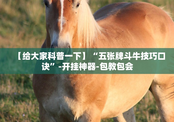 【给大家科普一下】“五张牌斗牛技巧口诀”-开挂神器-包教包会 【给大家科普一下】“五张牌斗牛技巧口诀”-开挂神器-包教包会