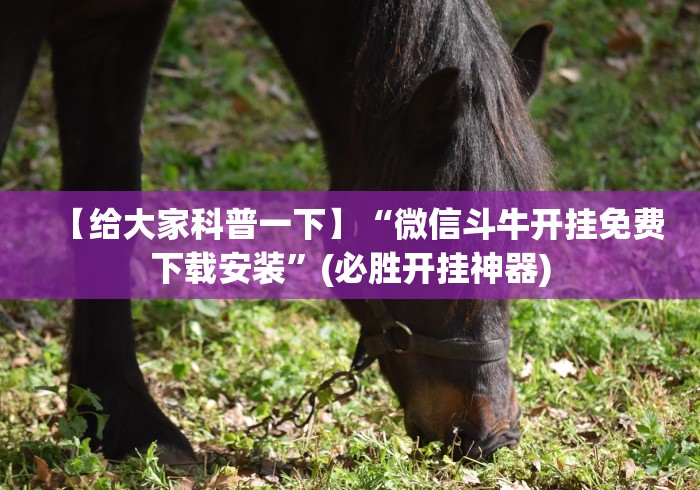 【给大家科普一下】“微信玩十三水为什么会天天输”-必赢神器安装 【给大家科普一下】“微信玩十三水为什么会天天输”-必赢神器安装