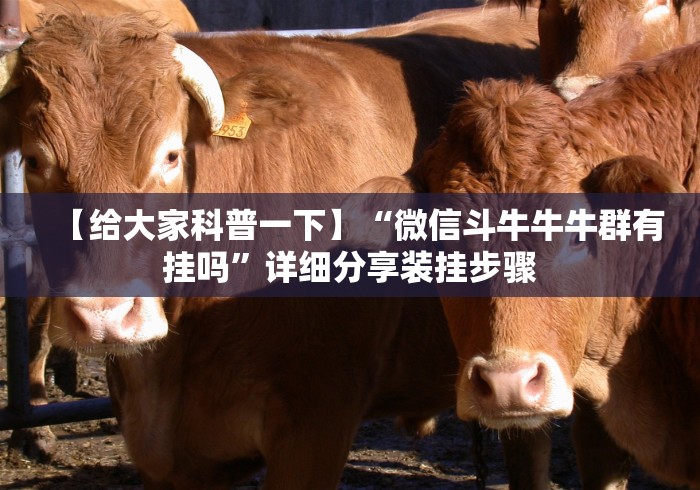 【给大家科普一下】“微信斗牛牛牛群有挂吗”详细分享装挂步骤 【给大家科普一下】“微信斗牛牛牛群有挂吗”详细分享装挂步骤