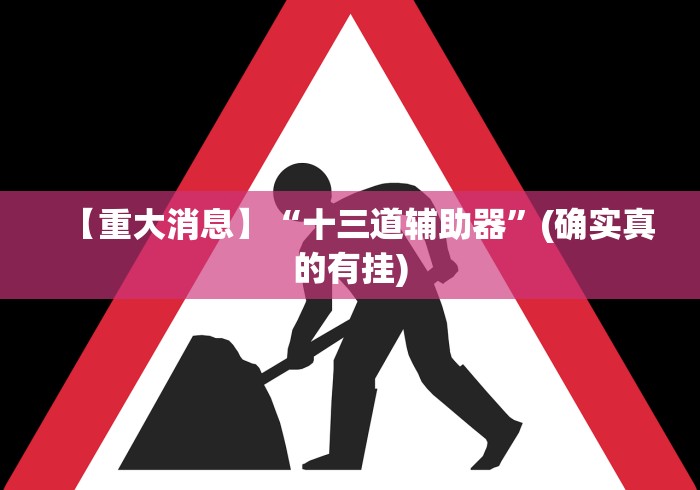 【重大消息】“十三道辅助器”(确实真的有挂)