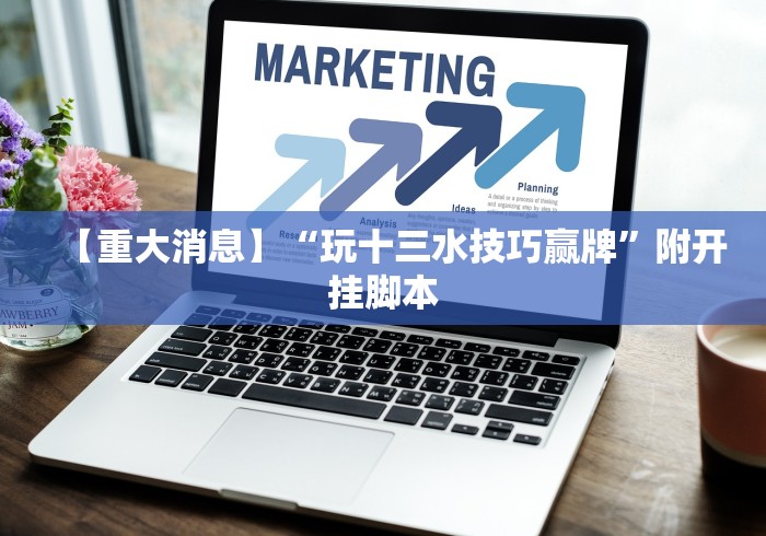 【重大消息】“玩十三水技巧赢牌”附开挂脚本