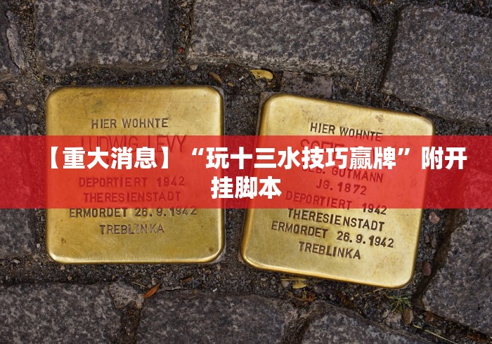 【重大消息】“玩十三水技巧赢牌”附开挂脚本