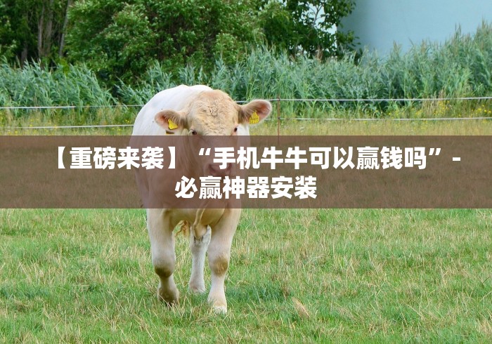 【重磅来袭】“手机牛牛可以赢钱吗”-必赢神器安装