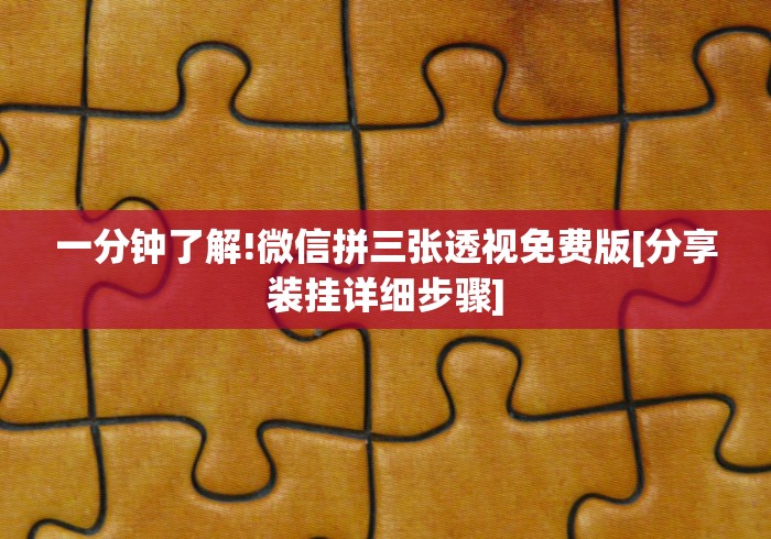 一分钟了解!微信拼三张透视免费版[分享装挂详细步骤]