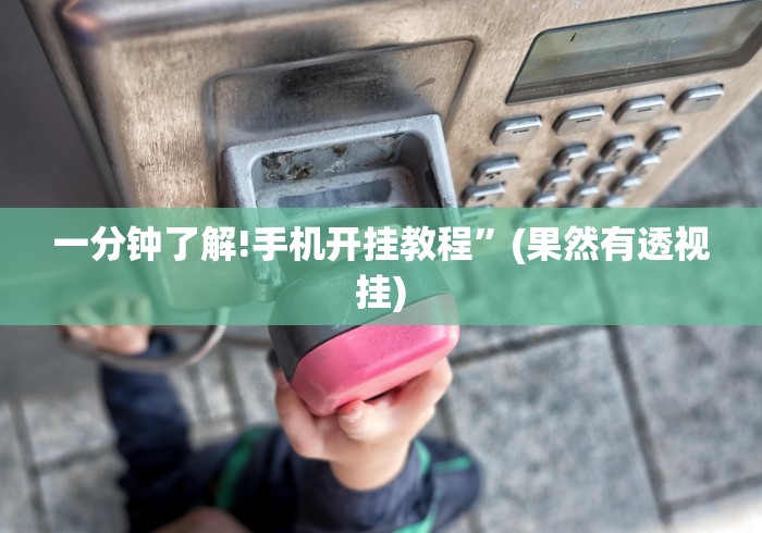 一分钟了解!手机开挂教程”(果然有透视挂)