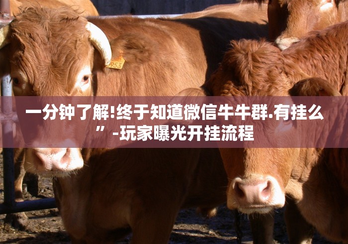 一分钟了解!终于知道微信牛牛群.有挂么”-玩家曝光开挂流程