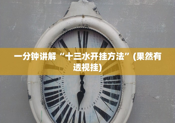 一分钟讲解“十三水开挂方法”(果然有透视挂)