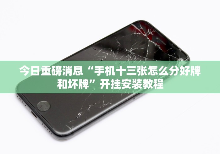 今日重磅消息“手机十三张怎么分好牌和坏牌”开挂安装教程