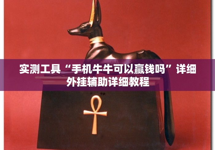 实测工具“手机牛牛可以赢钱吗”详细外挂辅助详细教程