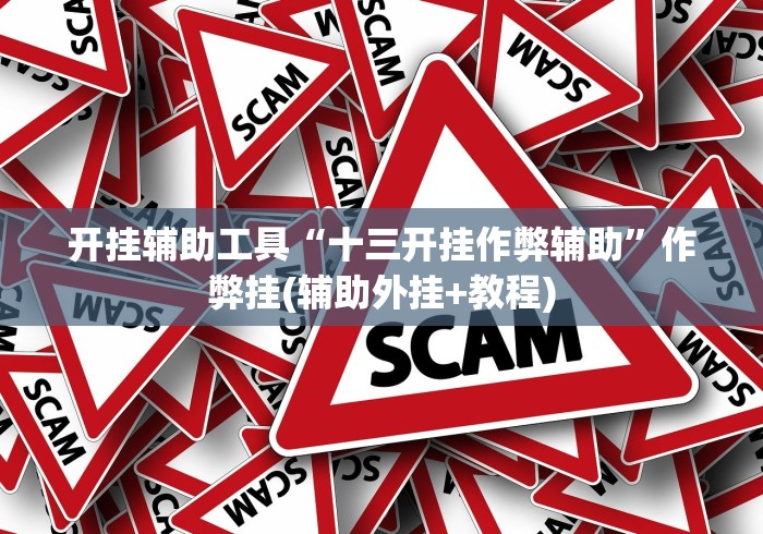 开挂辅助工具“十三开挂作弊辅助”作弊挂(辅助外挂+教程)